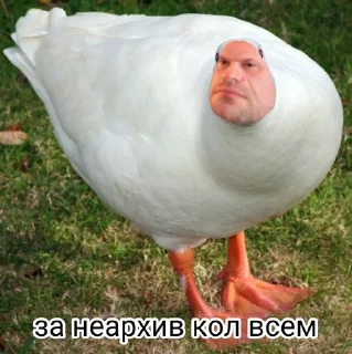 Sticker from ВАЛЕРИЙ ГУСЬ ЕБЛАН ЕБАНЫЙ