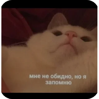✋ emoji Все нормально Telegram sticker 23 of 42