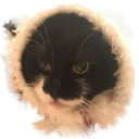 🤔 emoji Радужный Telegram sticker 23 of 30