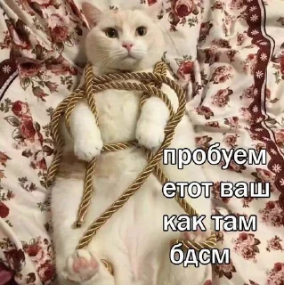 🥹 emoji йоу Telegram sticker 11 of 30