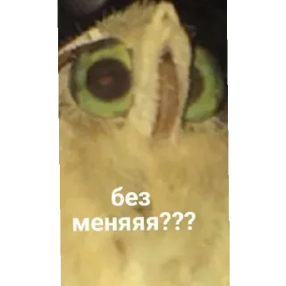 Sticker from Лох пидр @svlpng
