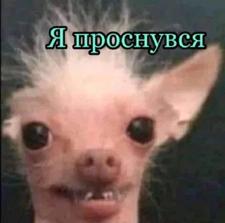 🙂 emoji ПУ-21🔫 Telegram sticker 3 of 119