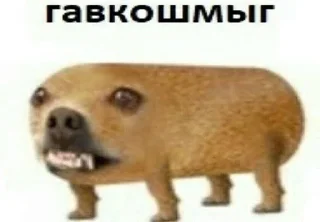 🐕 emoji Бред Хотвилса Telegram sticker 13 of 120