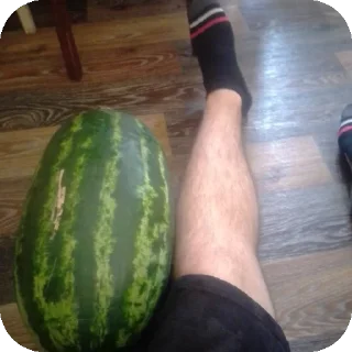 🍉 emoji Бред? Telegram sticker 17 of 54