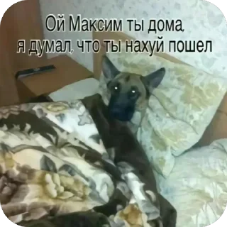 🫥 emoji Для чата Telegram sticker 9 of 37