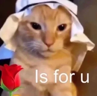 💋 emoji ня Telegram sticker 7 of 19