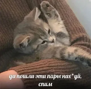 😴 emoji ня Telegram sticker 11 of 19