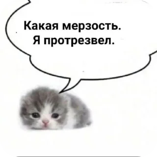 😵‍💫 emoji Pussy tastes delicious Telegram sticker 5 of 54