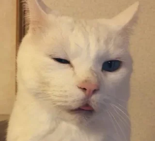 Sticker from котяра