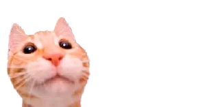 ☺️ emoji чмони Telegram sticker 14 of 20