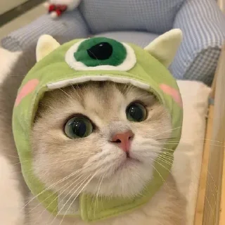 🐱 emoji Котеки Telegram sticker 16 of 99