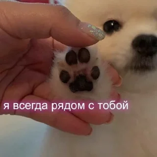 🌟 emoji Милашк Telegram sticker 15 of 23