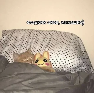 🌟 emoji Милашк Telegram sticker 5 of 23
