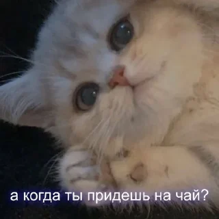 🌟 emoji Милашк Telegram sticker 6 of 23
