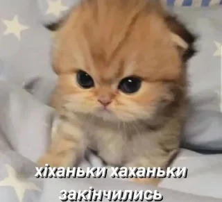 😠 emoji кітулі від хорі №2 Telegram sticker 11 of 51
