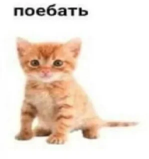 🤩 emoji очень важное Telegram sticker 19 of 120