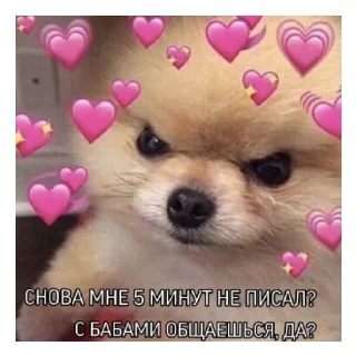 😡 emoji Никита лапуля<3 Telegram sticker 14 of 39