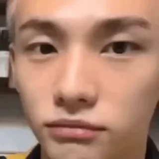 🌟 emoji SKZ memes Telegram sticker 15 of 26
