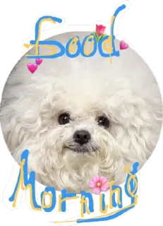 Sticker from Joseph