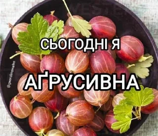 😡 emoji меми від @gwenllianwales Telegram sticker 12 of 96