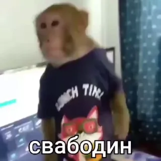 🌟 emoji Сигма манке ёпт Telegram sticker 10 of 120