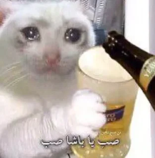 🍻 emoji @RR03R Telegram sticker 20 of 119