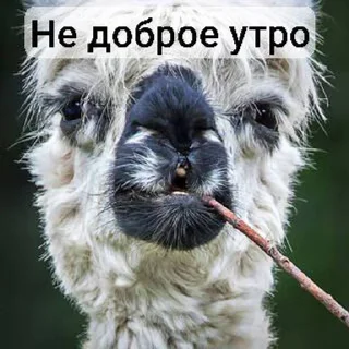 🌟 emoji Пипец#снег Telegram sticker 7 of 10