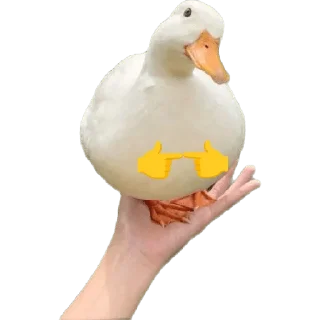 🙏 emoji Мемы Telegram sticker 13 of 96