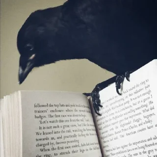 🌟 emoji The Crow Telegram sticker 9 of 74
