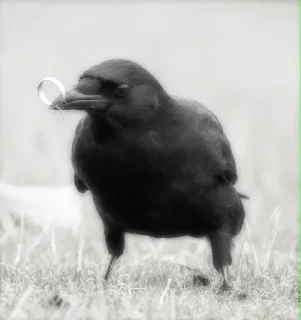 🪐 emoji The Crow Telegram sticker 20 of 74