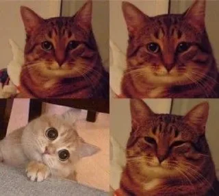 ☺️ emoji Memes for Tanik Telegram sticker 24 of 120
