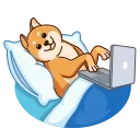 💻 emoji Shiba Inu Telegram sticker 10 of 23