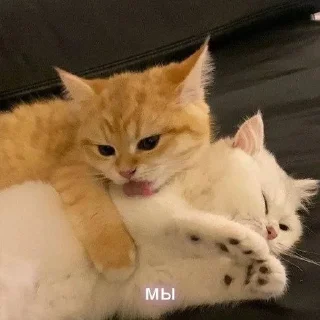 ❤ emoji трахни меня Telegram sticker 20 of 63