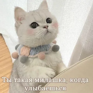 ❤ emoji трахни меня Telegram sticker 21 of 63