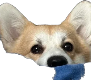 🌟 emoji Charlie’s Mood Pack Telegram sticker 18 of 94