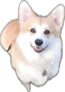 🌟 emoji Charlie’s Mood Pack Telegram sticker 15 of 94