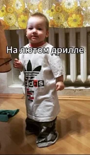 Sticker from Кенский совет😎