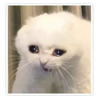 Sticker from sad