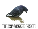 🐦 emoji Common to all Telegram sticker 20 of 120