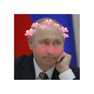 Sticker from Путин КРАШ❤️
