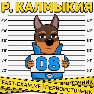 🇷🇺 emoji 🧭 Все регионы @fast_exam Telegram sticker 9 of 92