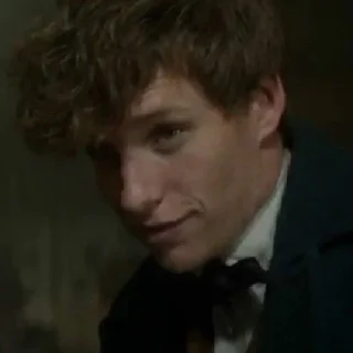 😏 emoji Newt Scamander Telegram sticker 10 of 44