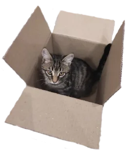 📦 emoji КОТЕК Маркус Telegram sticker 13 of 22
