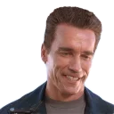 😏 emoji Арнольд Telegram sticker 22 of 48