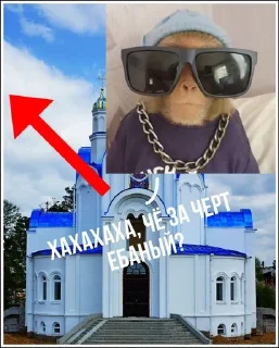 🙊 emoji РАЙ БРО Telegram sticker 14 of 89