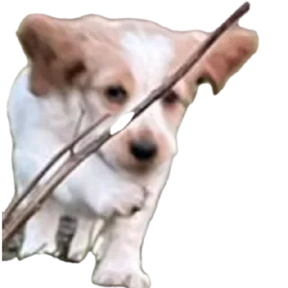 😀 emoji Уши победа трусы Telegram sticker 2 of 61