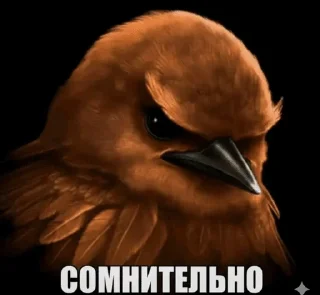 🌬️ emoji птицы сомнения Telegram sticker 13 of 104