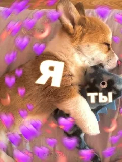 🌟 emoji милые пикчи. <3 💗 Telegram sticker 5 of 63