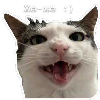 🫥 emoji Киты Telegram sticker 7 of 29