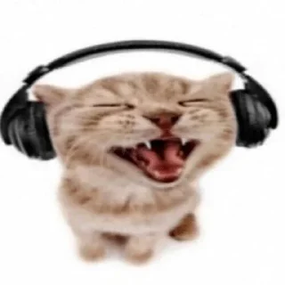 🎧 emoji мяу <33 Telegram sticker 19 of 120